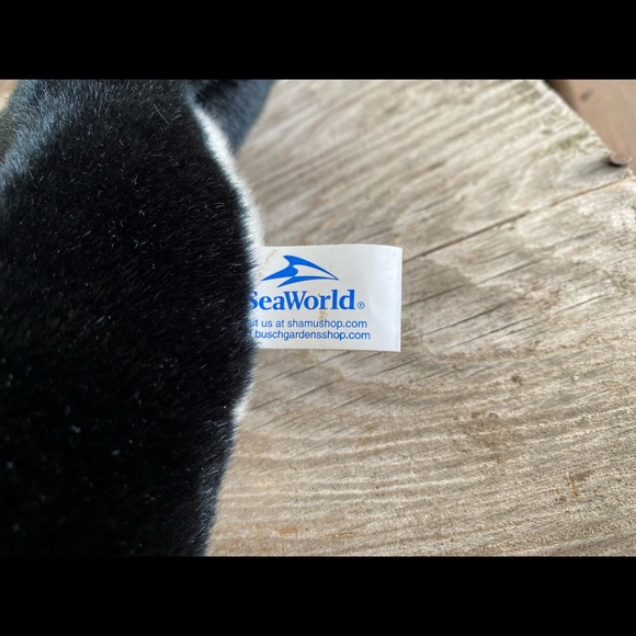Seaworld Shamu Plush Orca Killer Whale Plush Stuffed Animal Souvenir - Picture 4 of 4